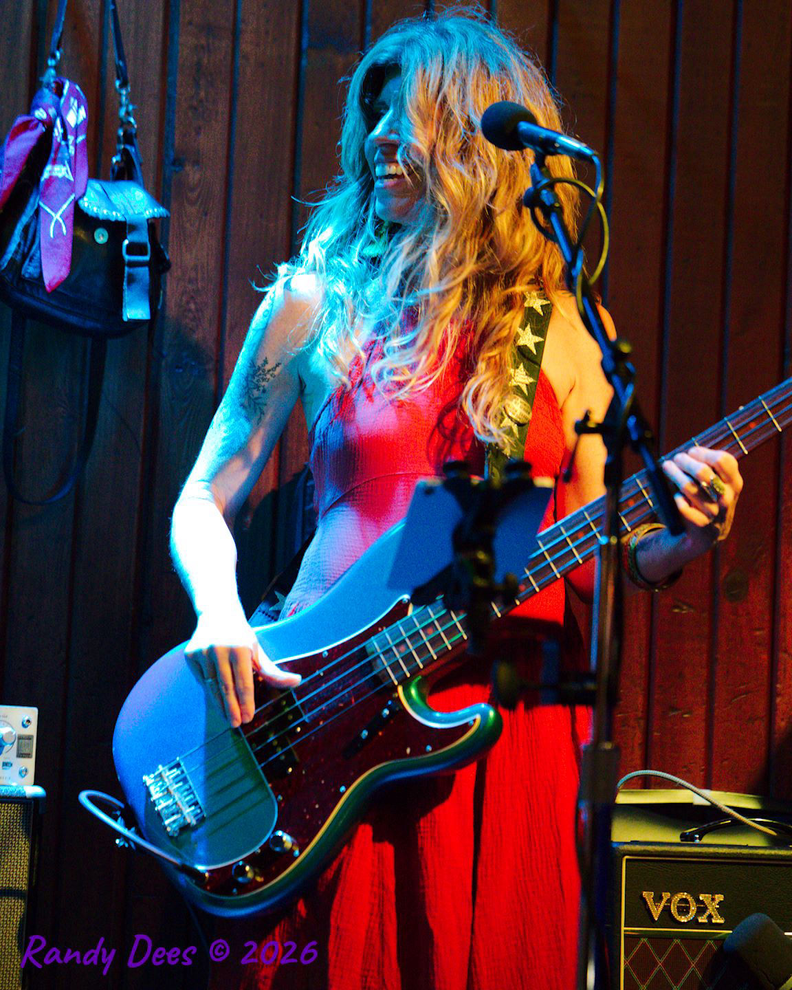 Sister Golden Hair the Band