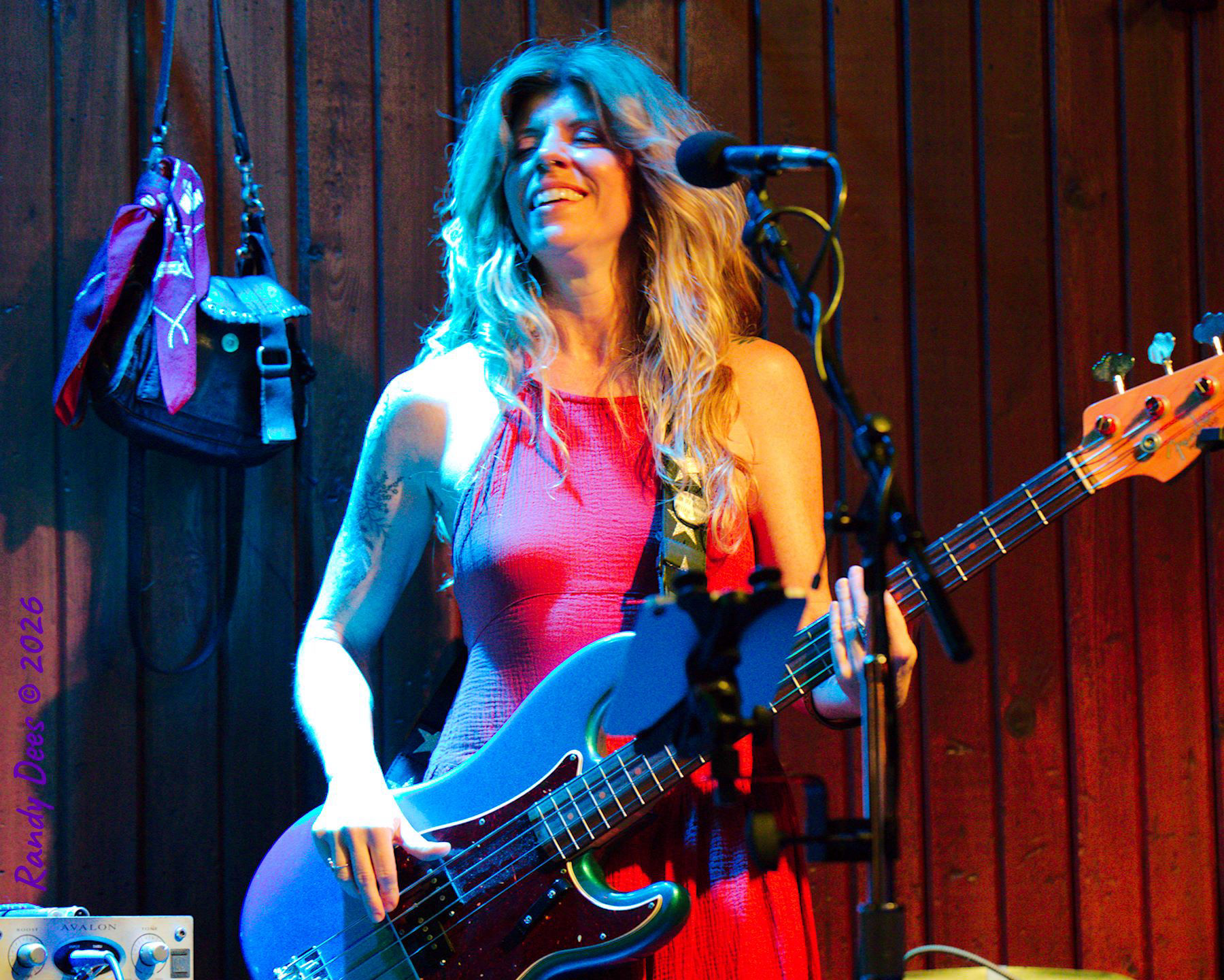 Sister Golden Hair the Band