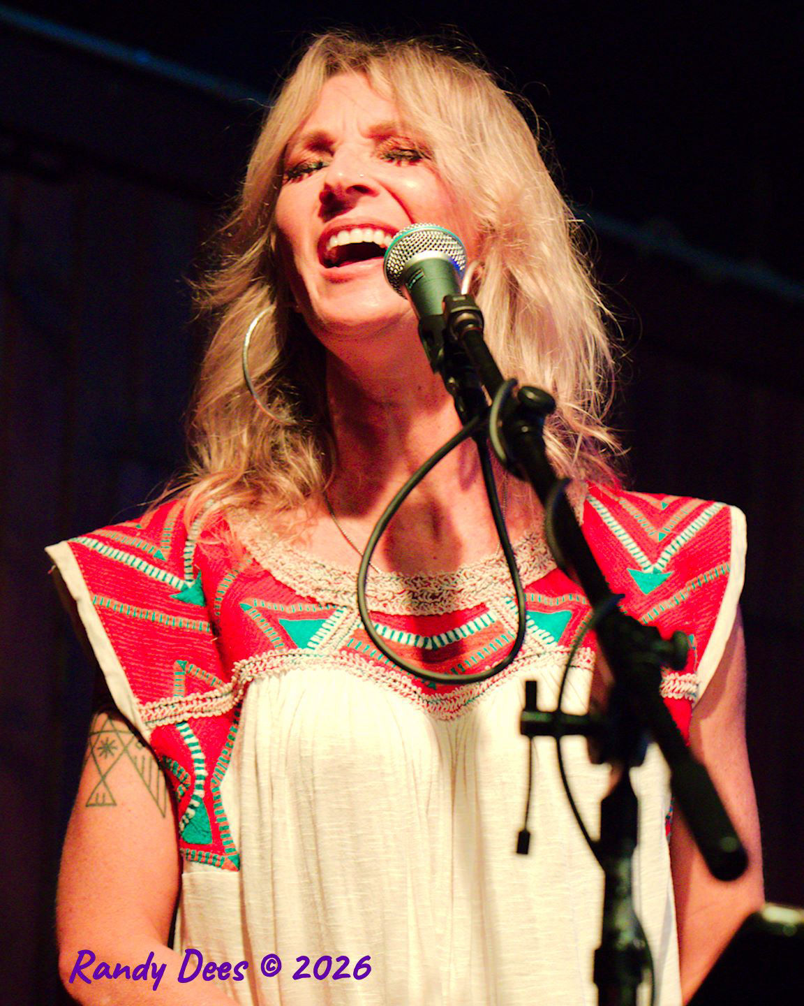 Sister Golden Hair the Band