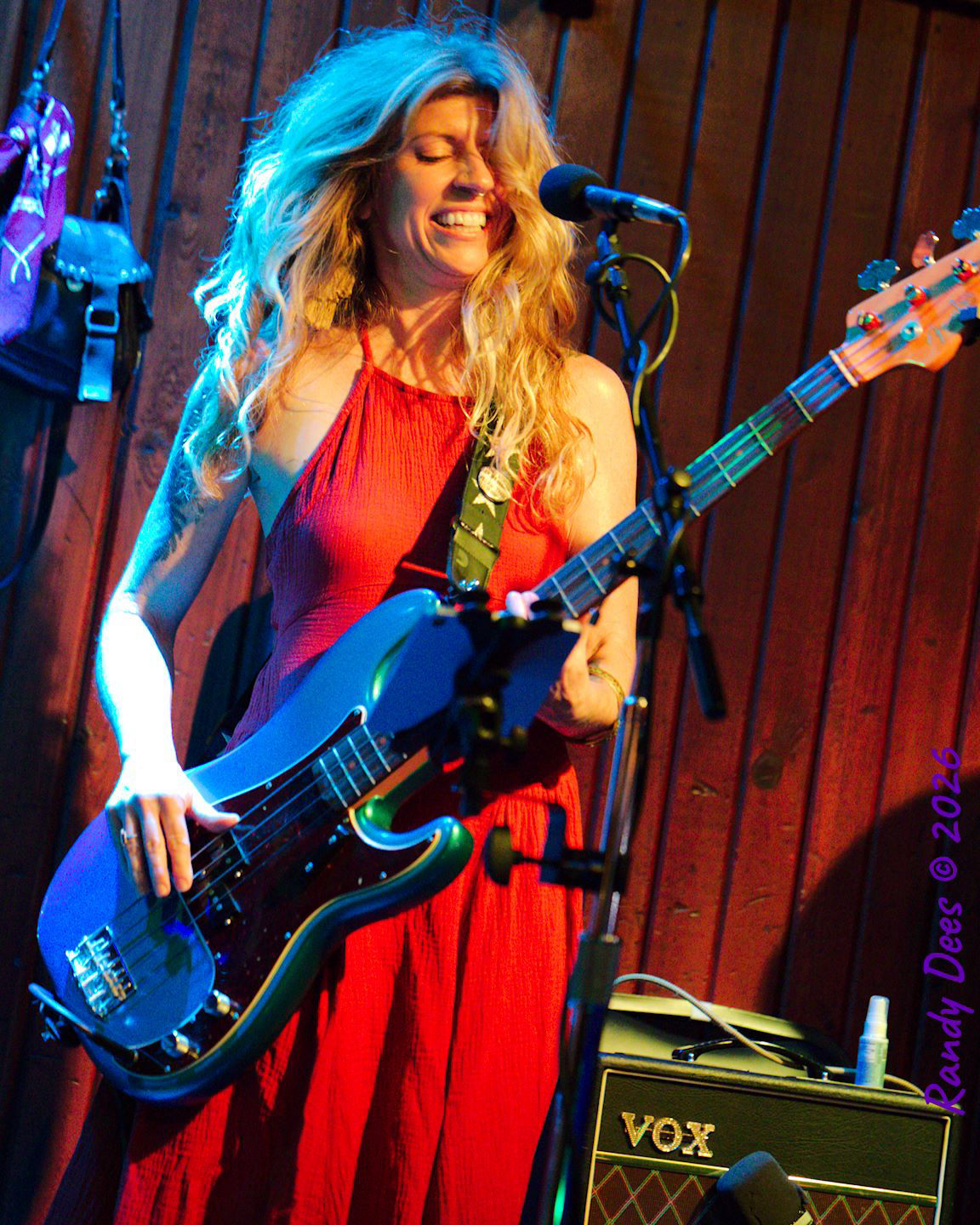 Sister Golden Hair the Band