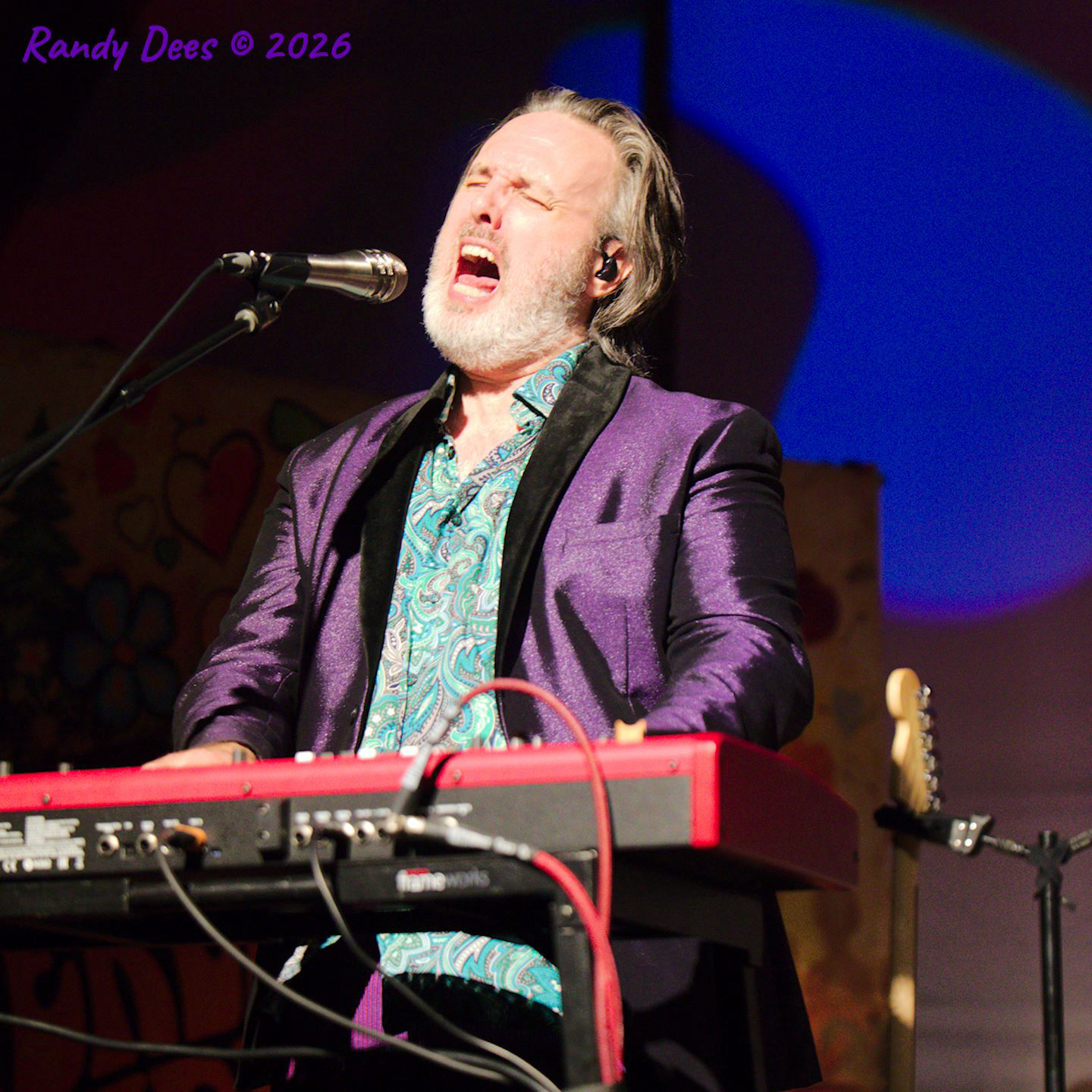 Pepperland Players