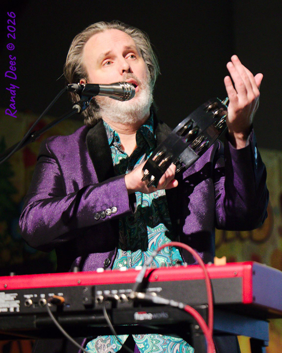 Pepperland Players