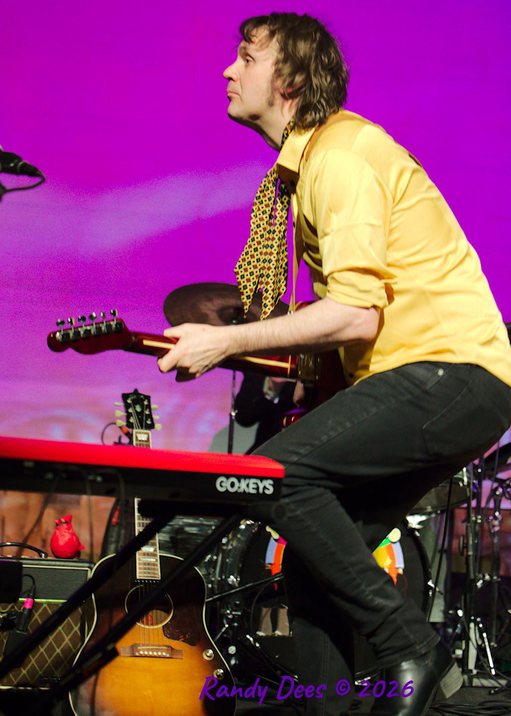Pepperland Players