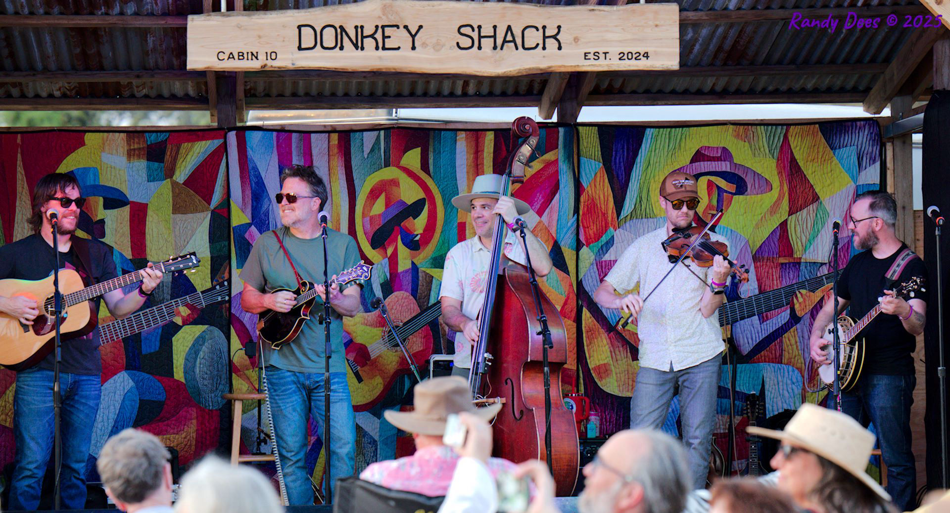 Donkey Grass 2025
