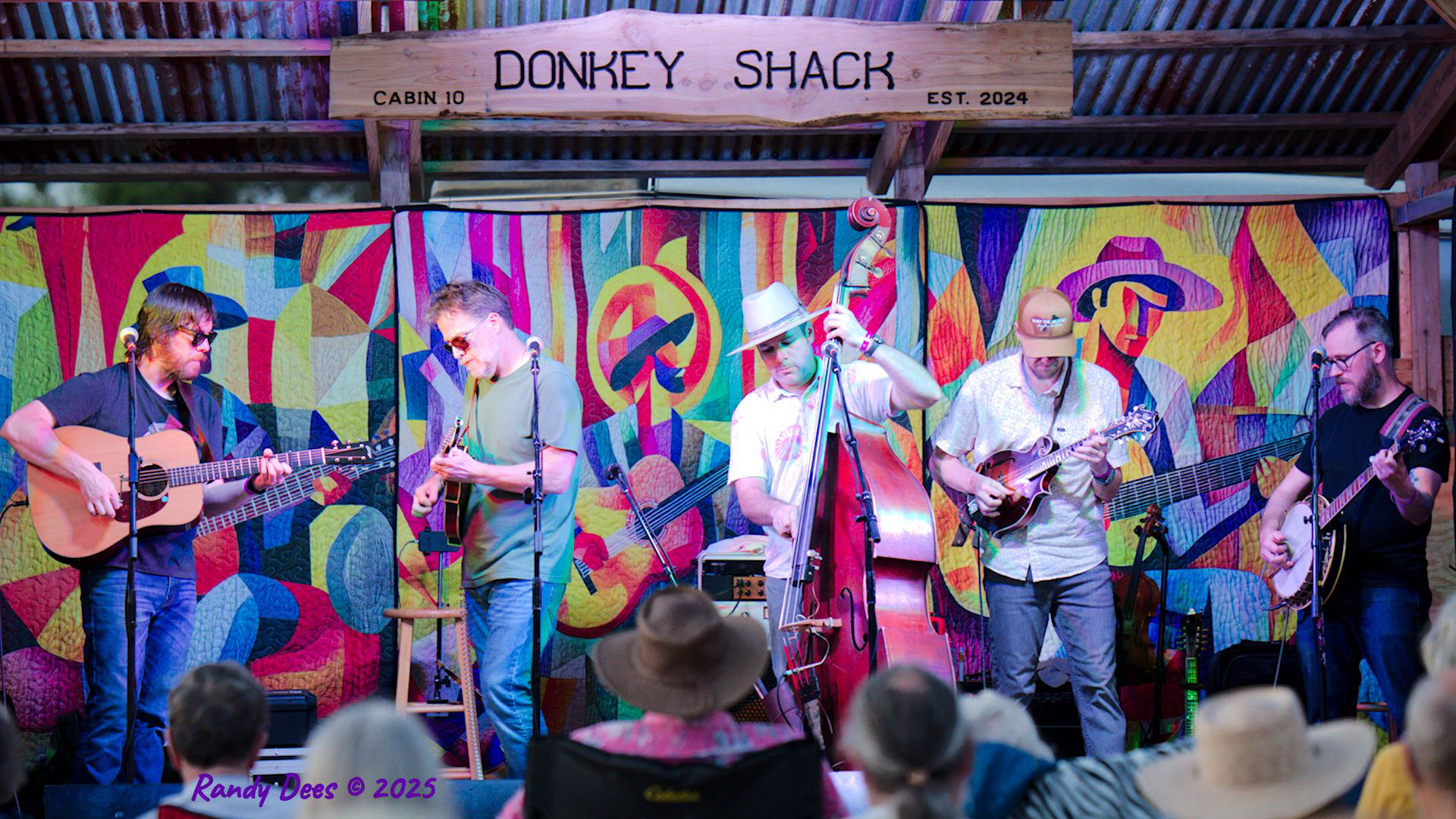 Donkey Grass 2025
