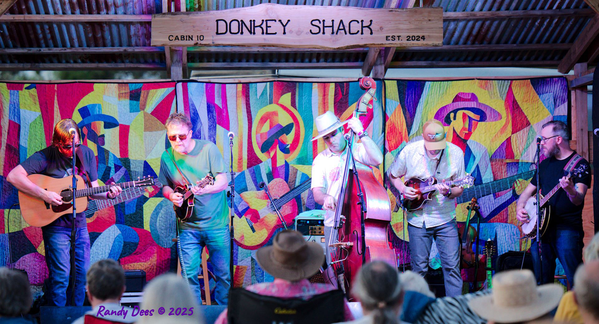 Donkey Grass 2025
