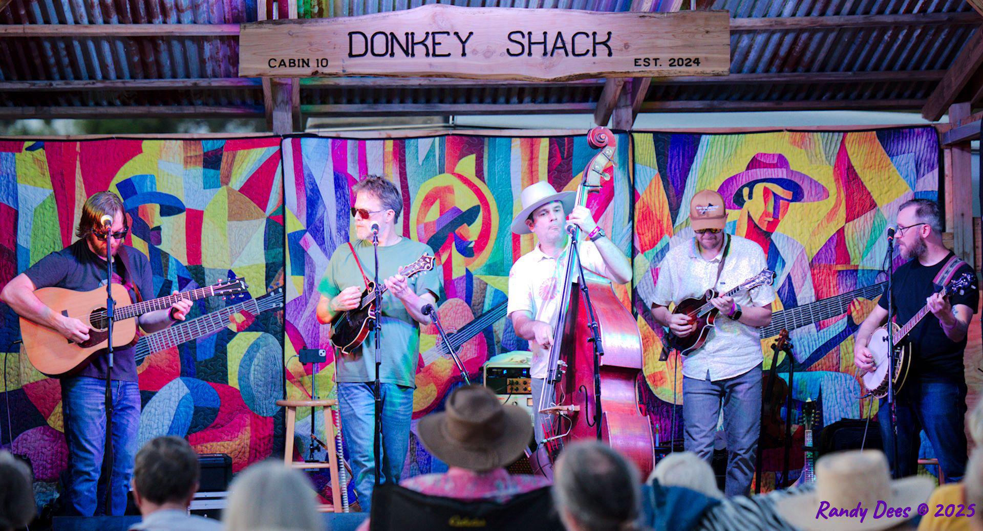 Donkey Grass 2025