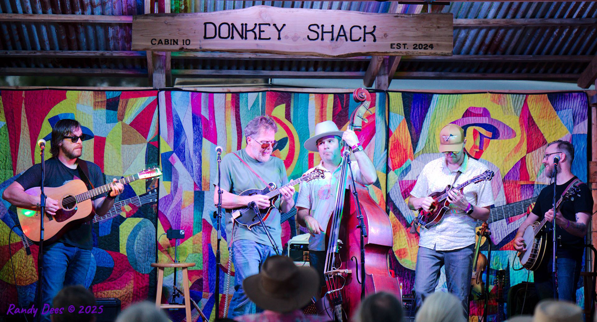 Donkey Grass 2025