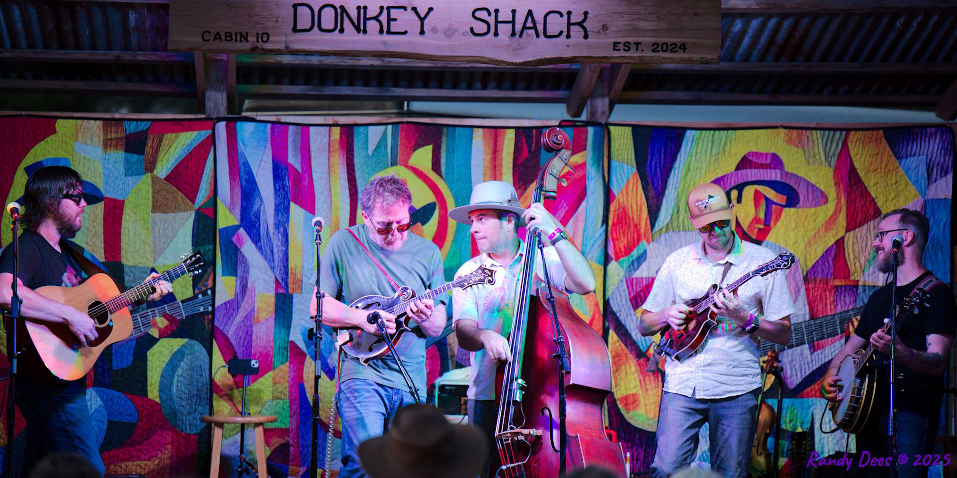 Donkey Grass 2025