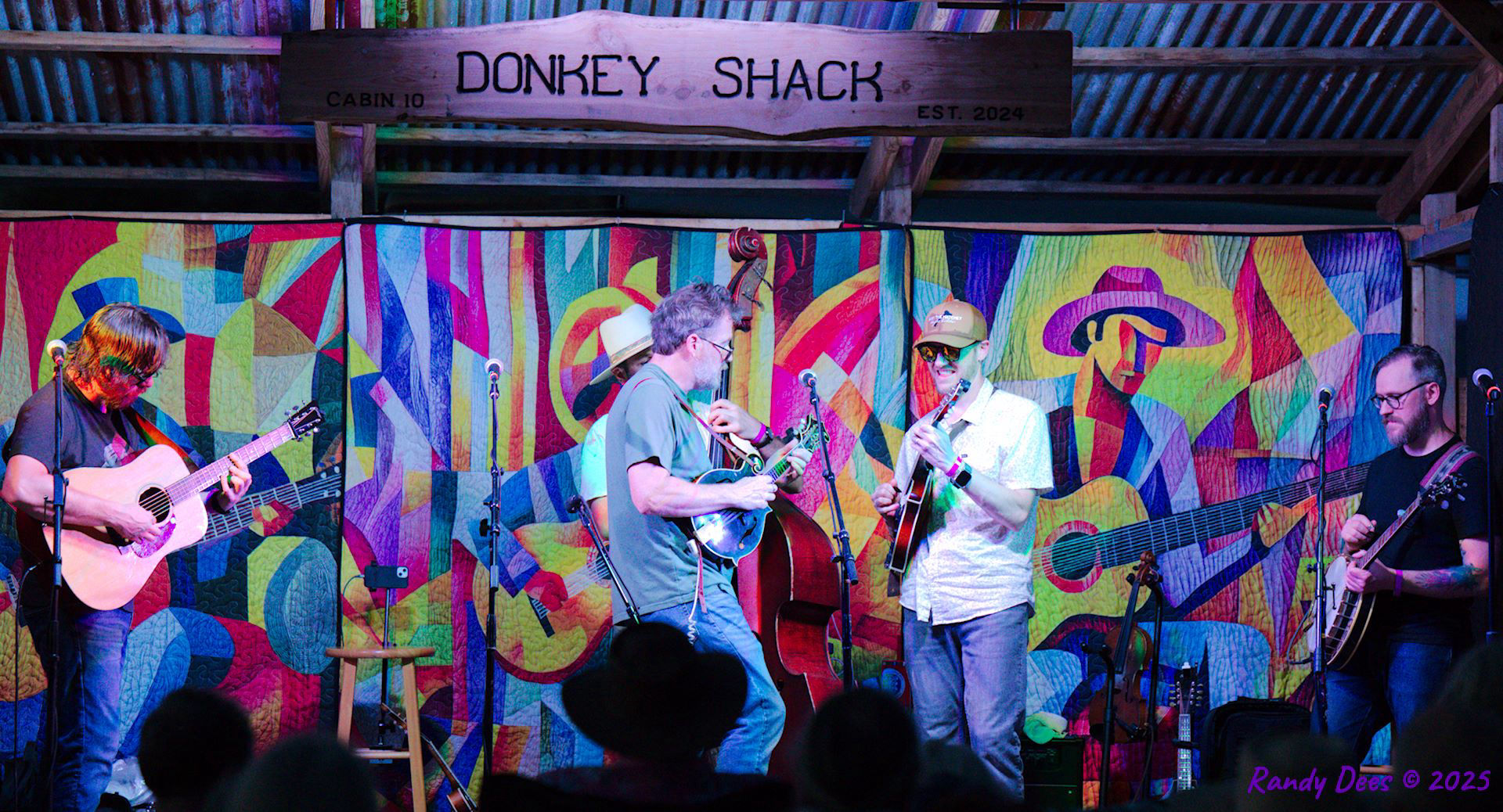 Donkey Grass 2025