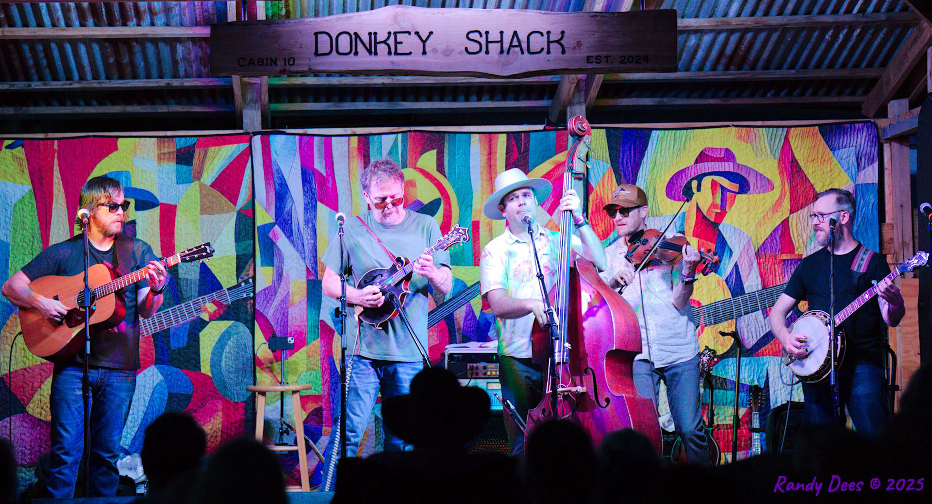 Donkey Grass 2025
