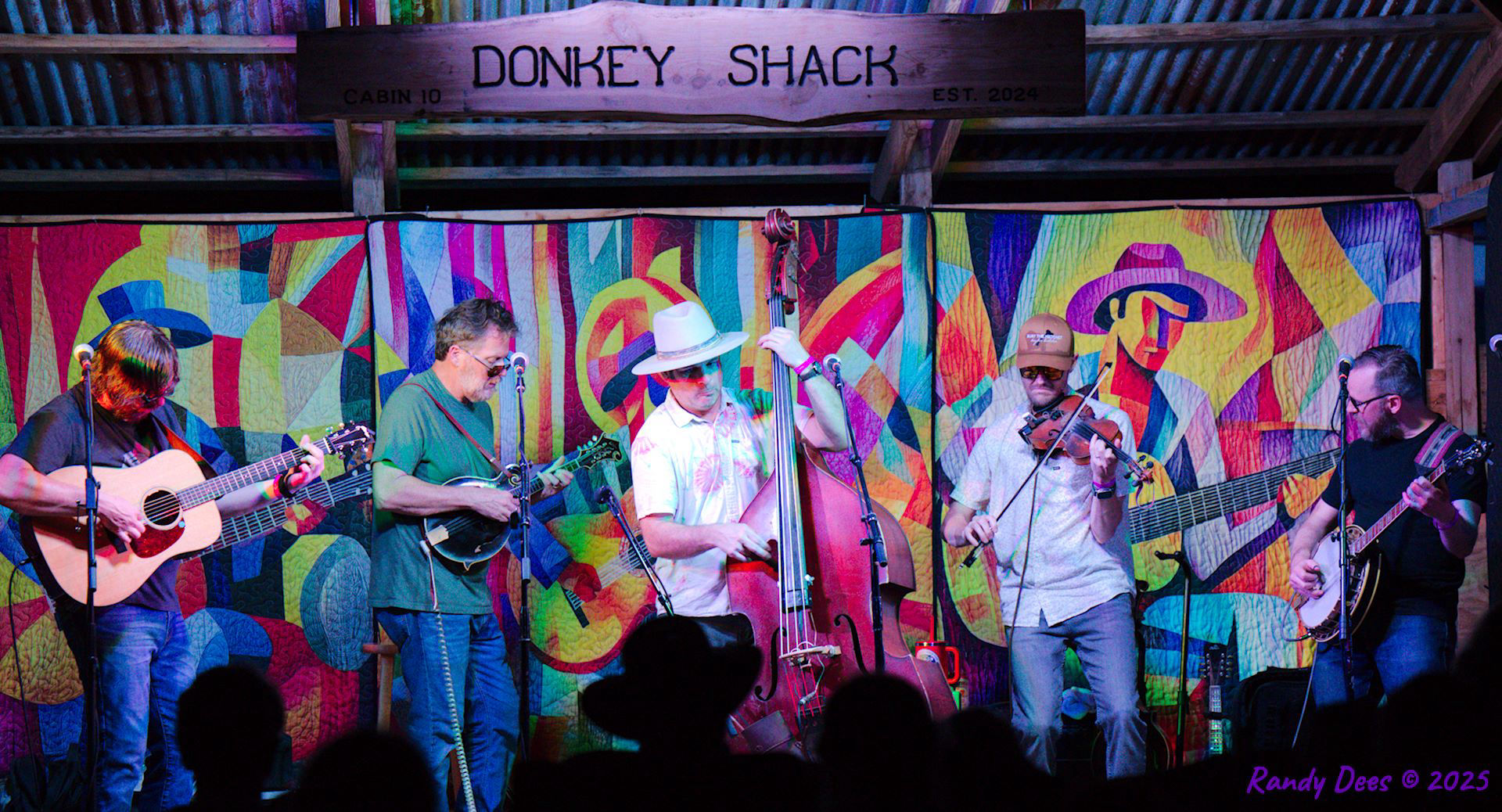 Donkey Grass 2025