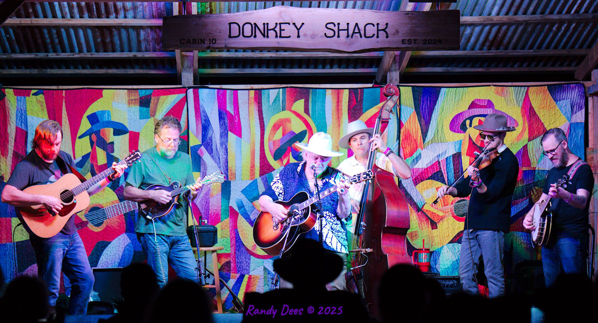 Donkey Grass 2025