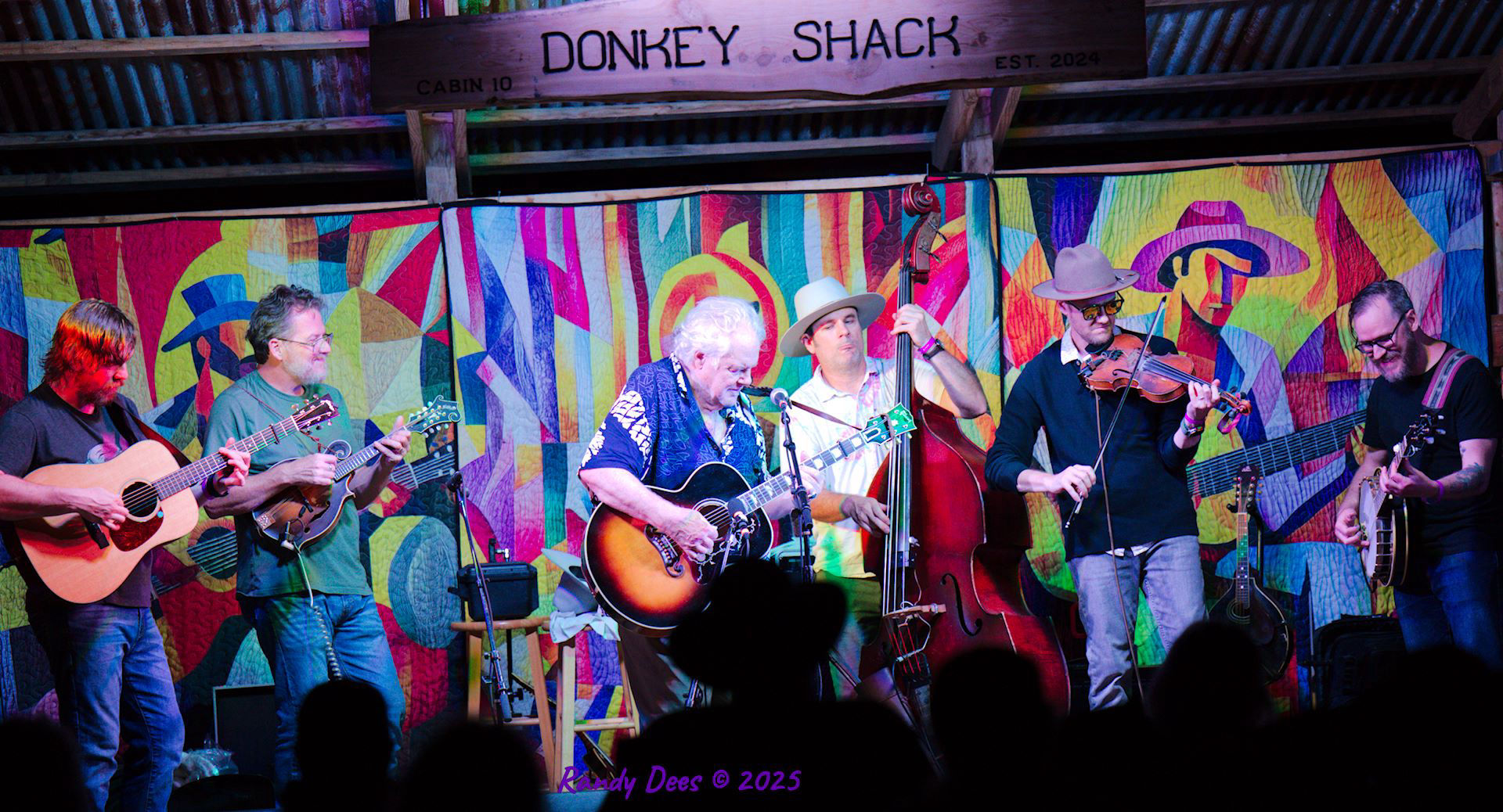 Donkey Grass 2025