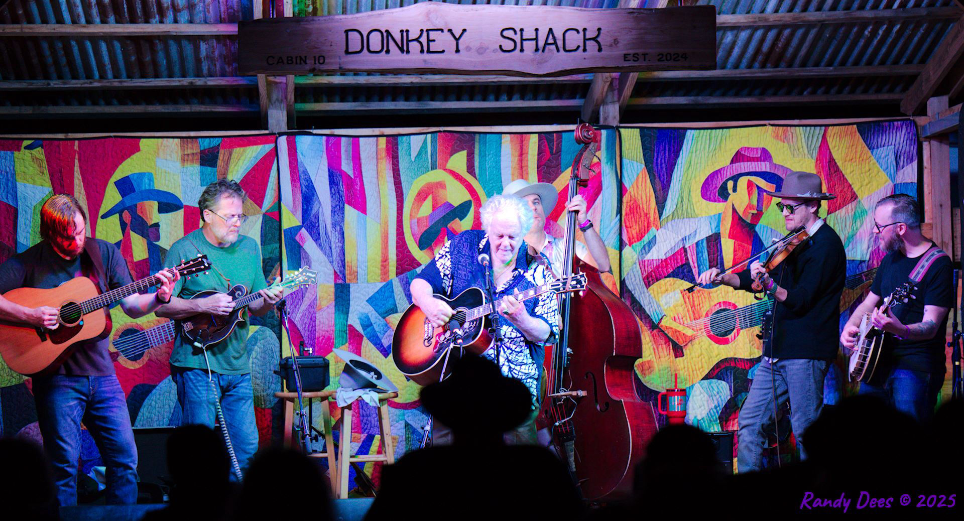 Donkey Grass 2025