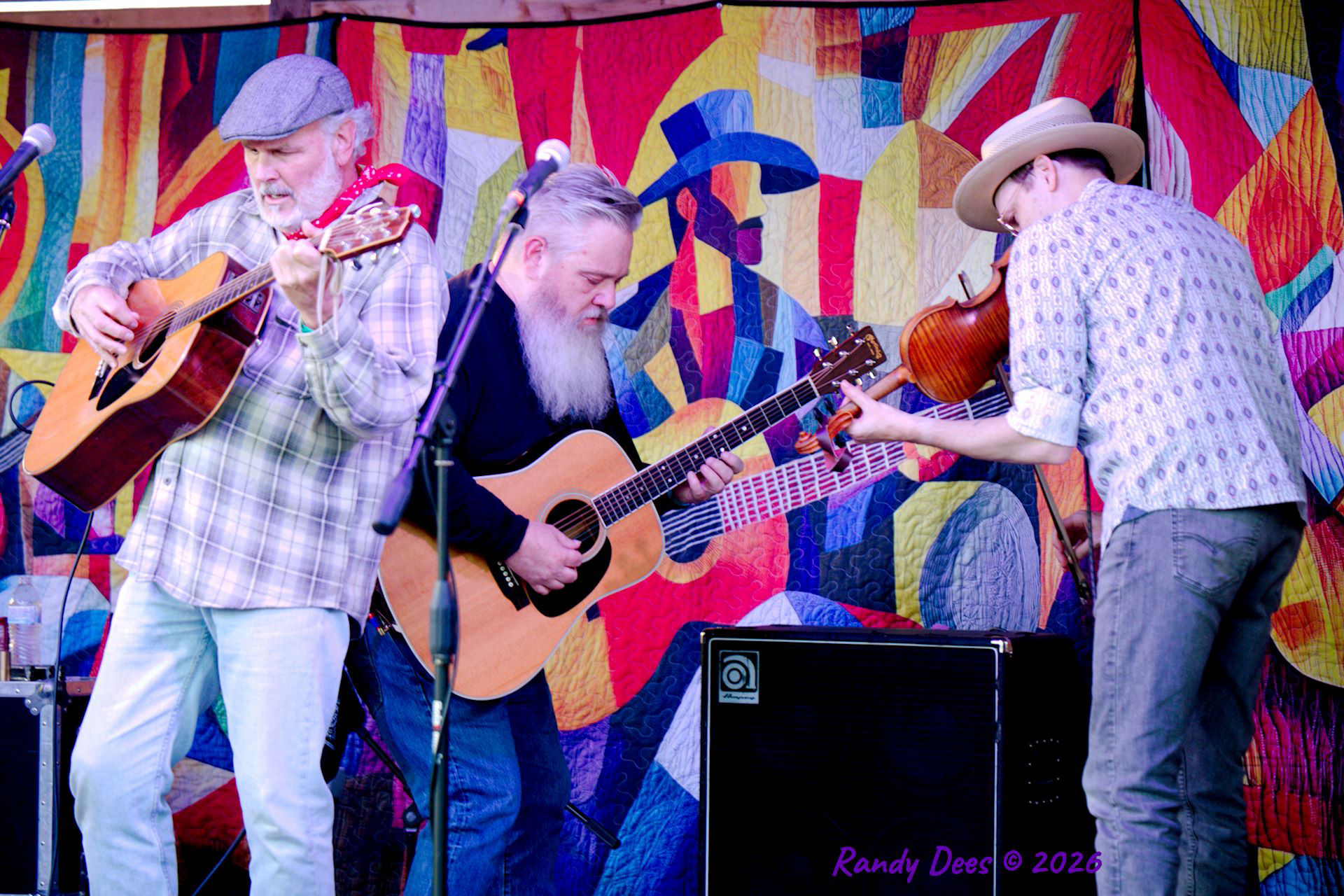 Donkey Grass 2026