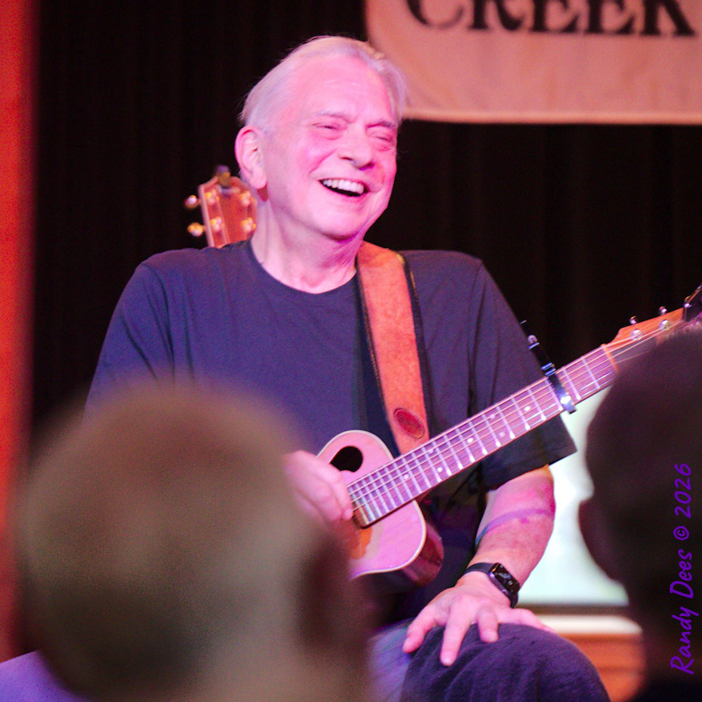 Sycamore Creek Concerts