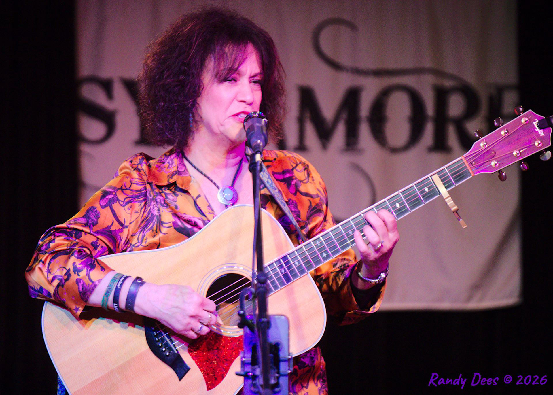 Sycamore Creek Concerts