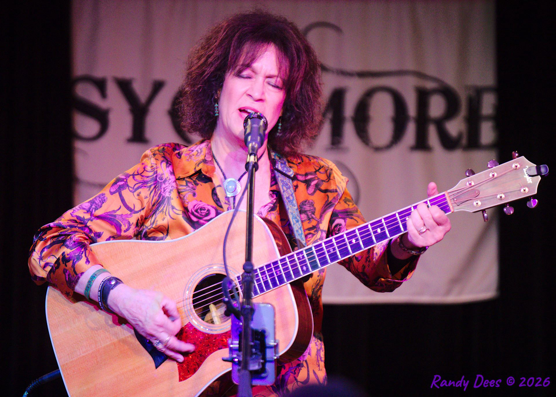 Sycamore Creek Concerts