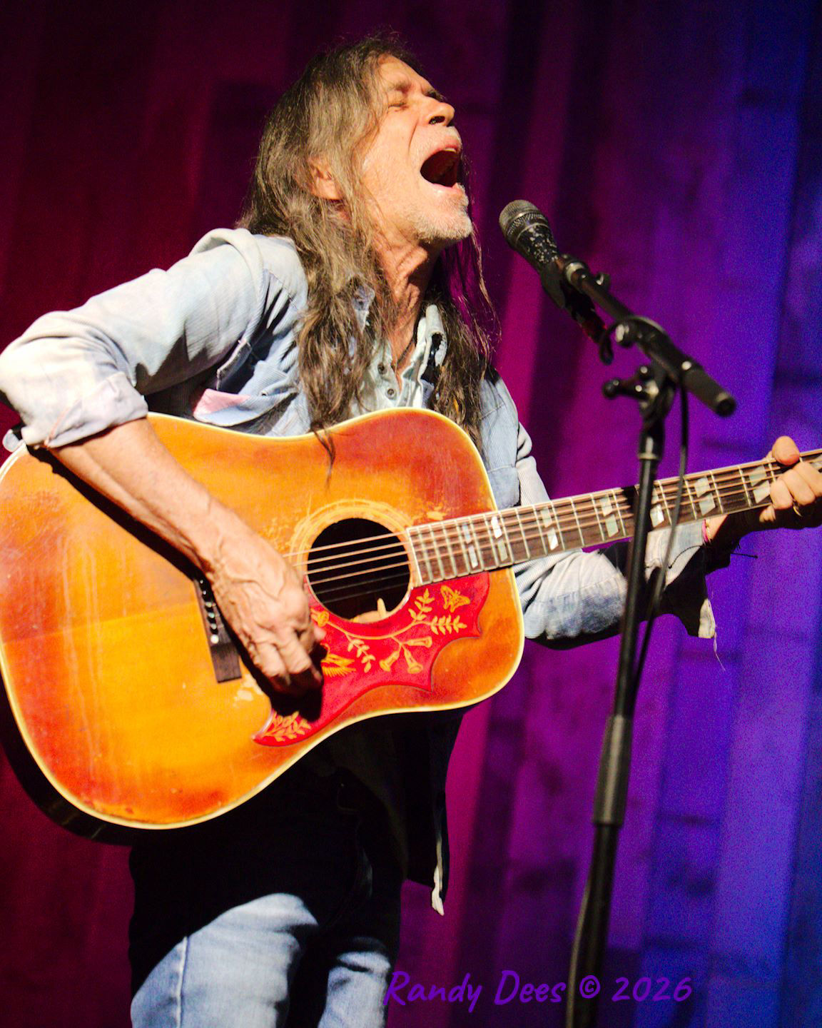 Steve Forbert
