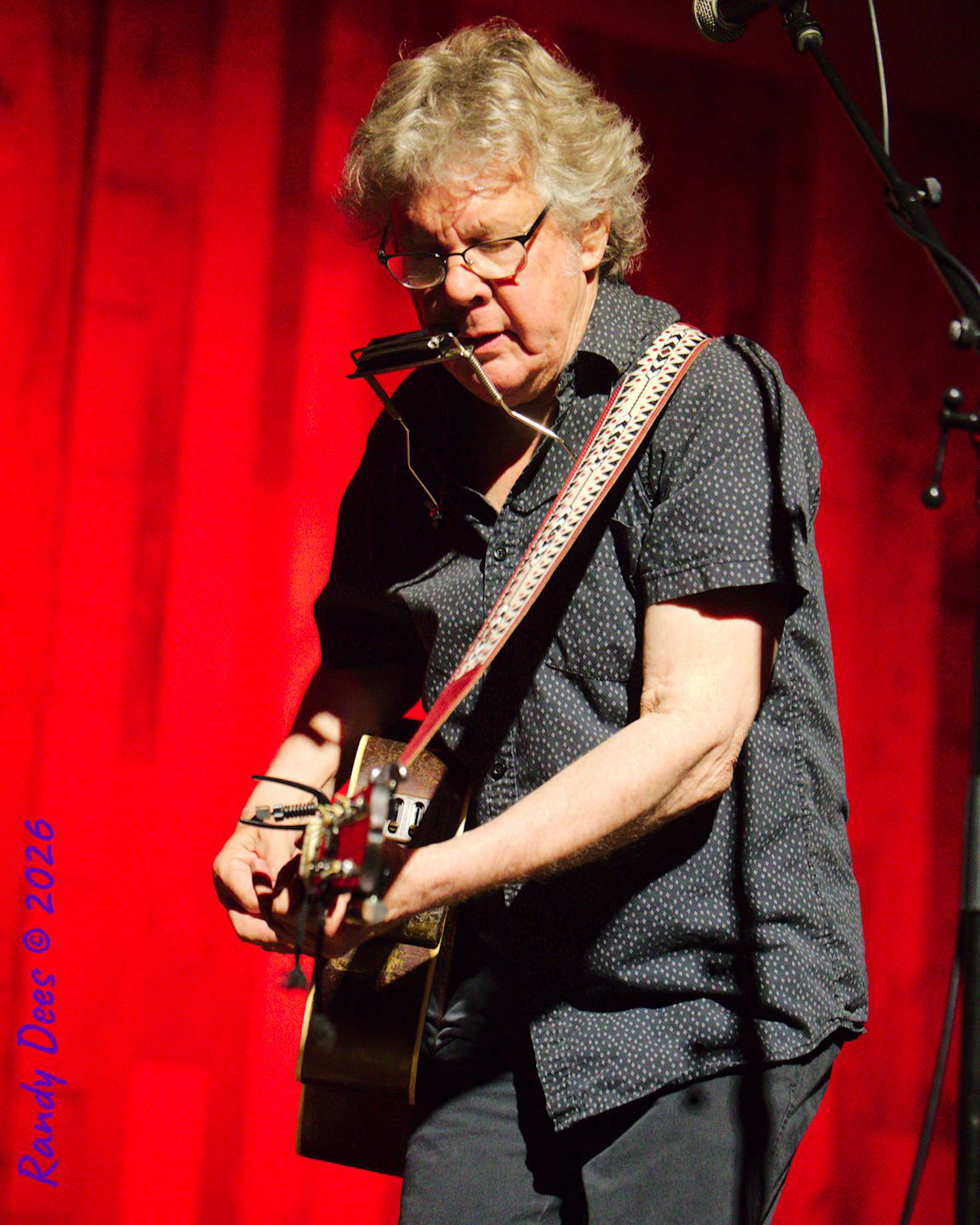 Steve Forbert