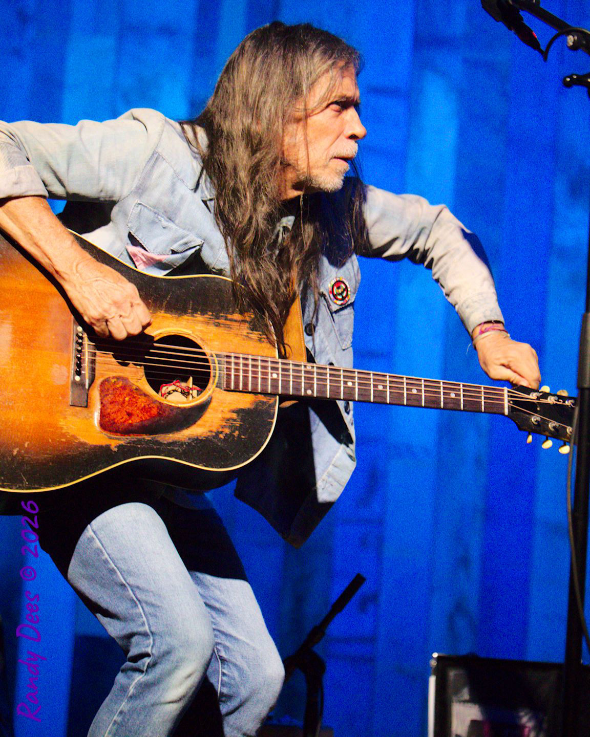 Steve Forbert