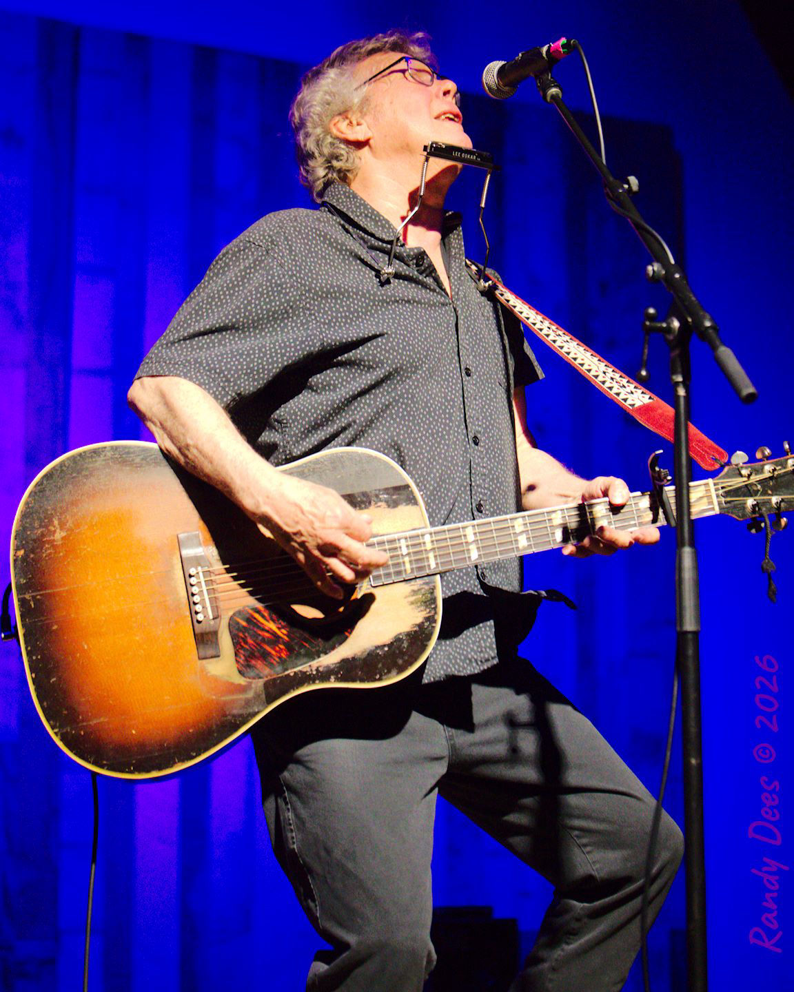 Steve Forbert
