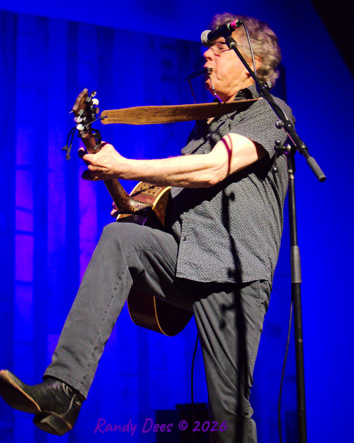 Steve Forbert