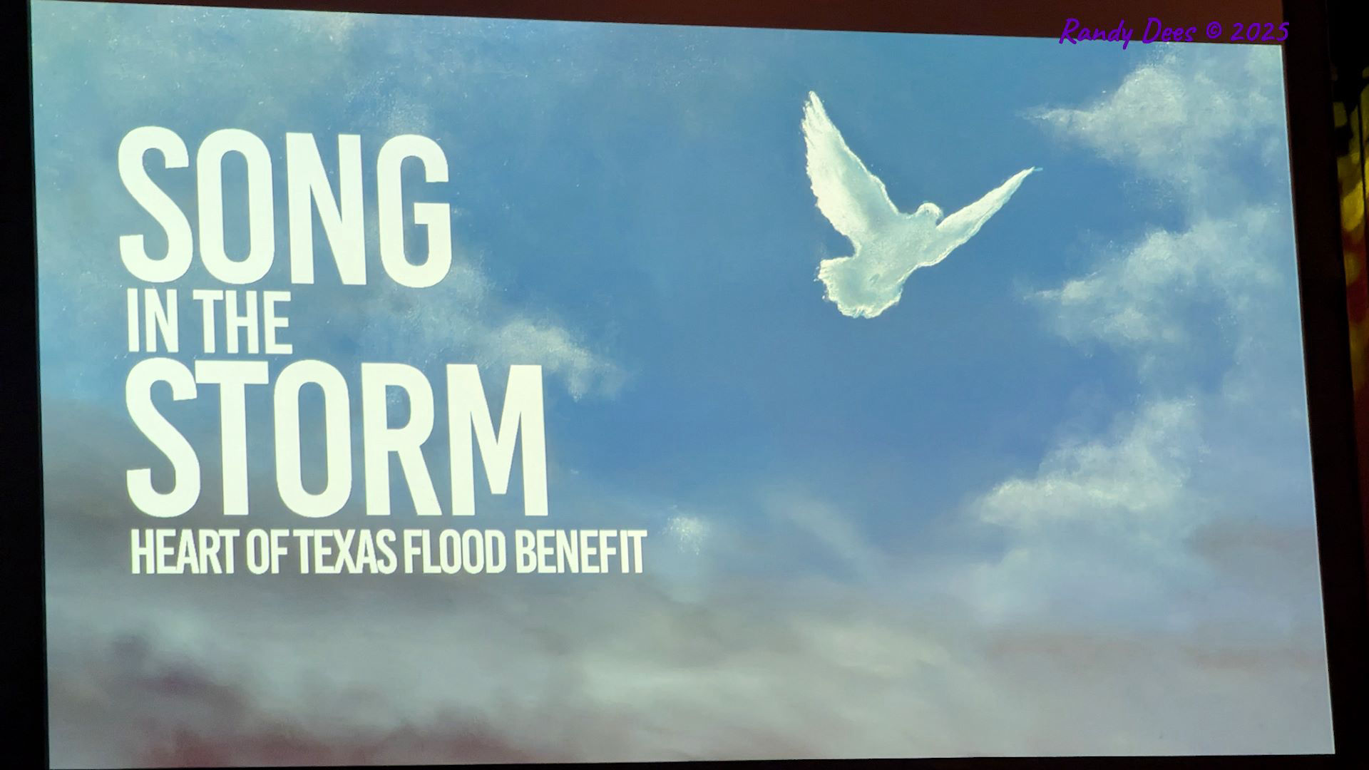 Song In The Storm