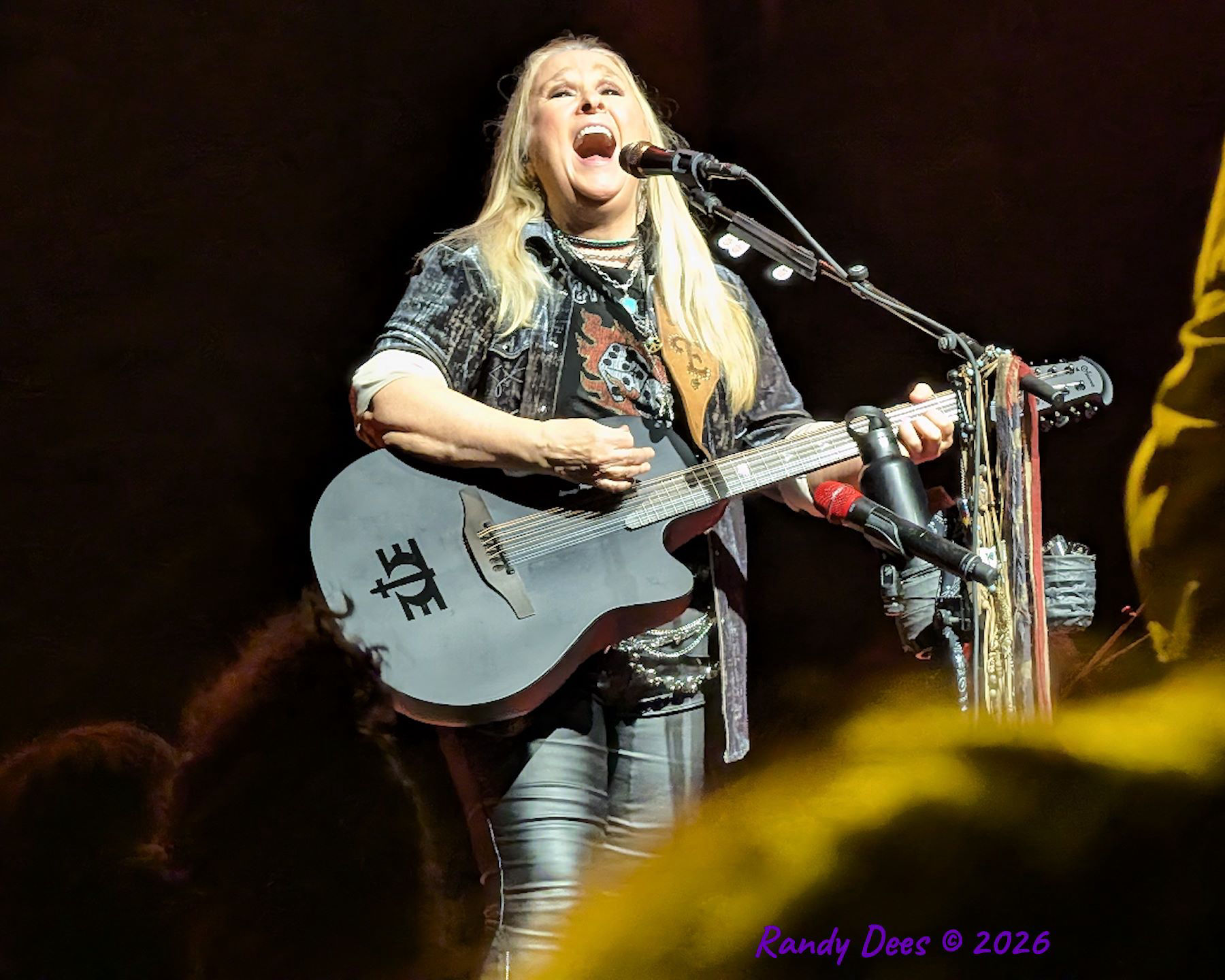 Austin City Limits Live