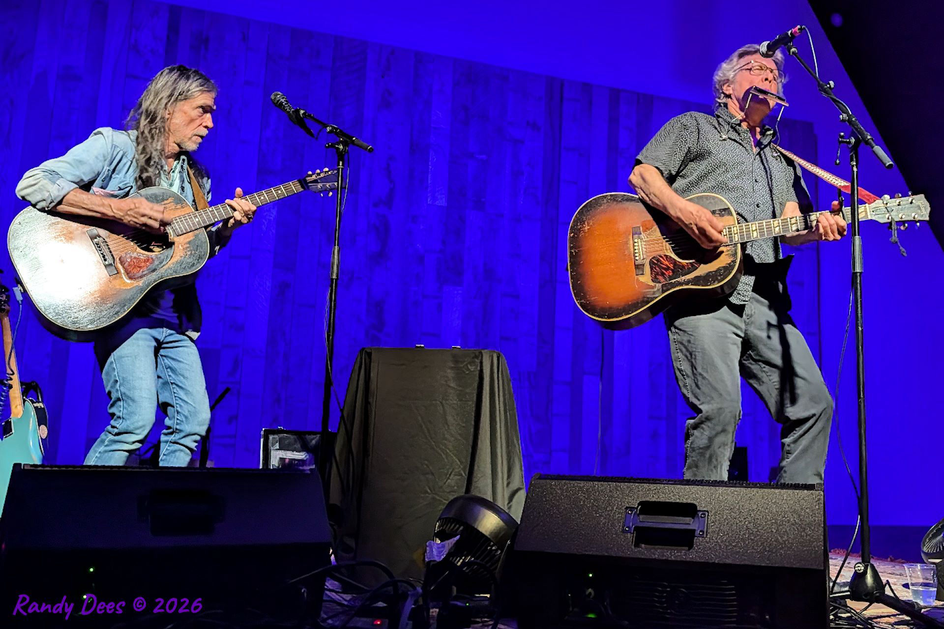 Steve Forbert