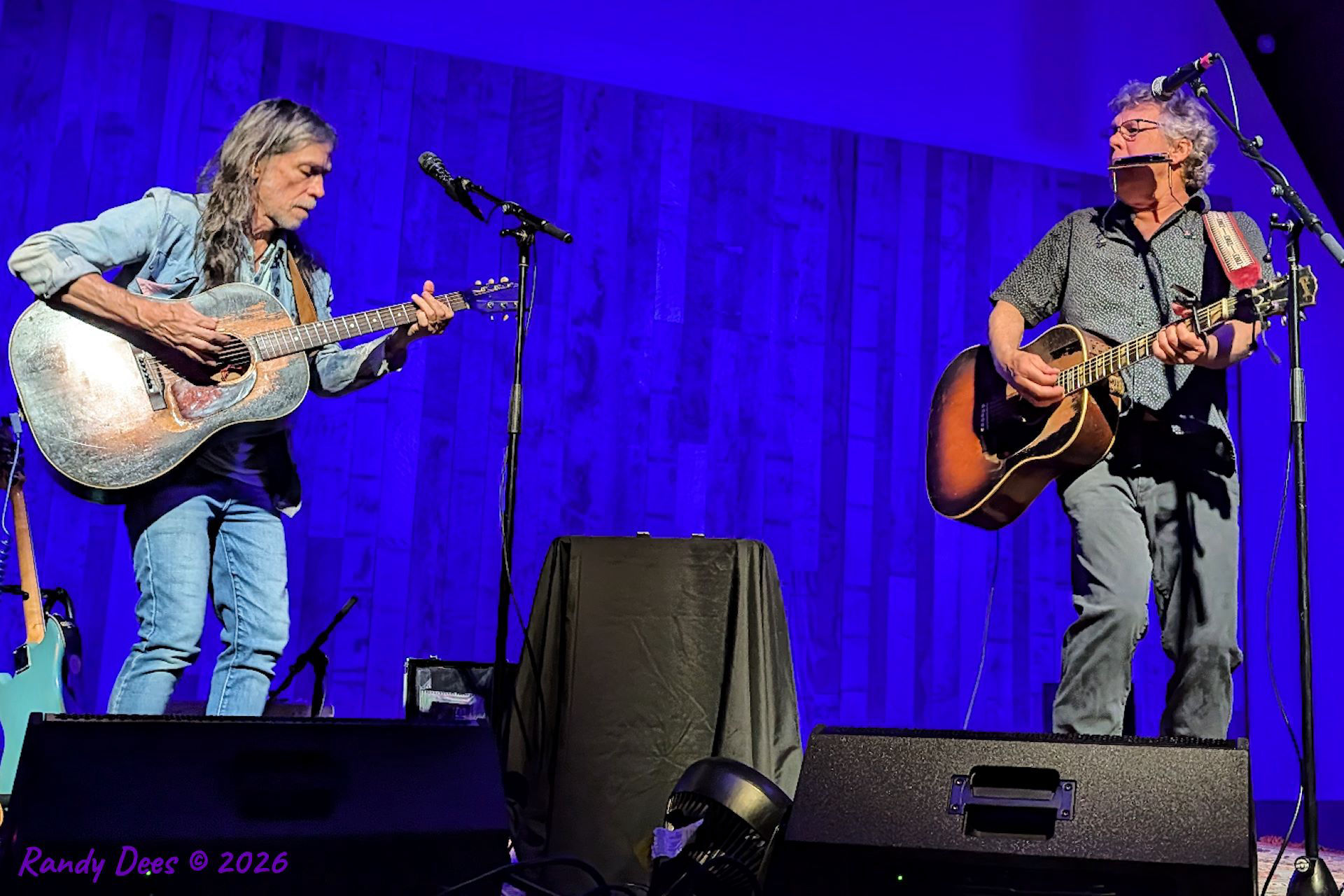 Steve Forbert