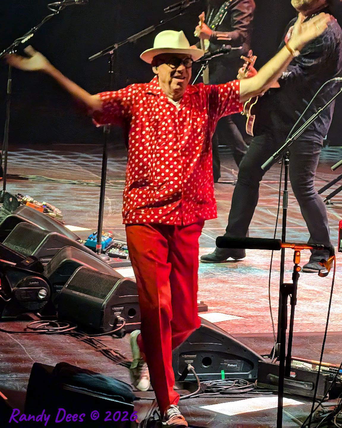 The Mavericks & Friends